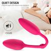 10 Frequency Vibrating Egg G-Spot Vaginal Stimulator Anal Plug Butt Plug Erotic Sex Toys