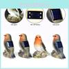 Lumière d'oiseau en résine solaire avec éclairage LED pour pelouse et espaces extérieurs