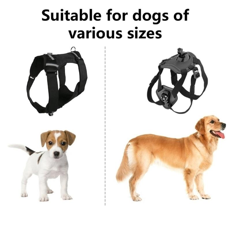 Soft Padded Pet Harness Compatible for Sports Cameras Recording from Your Dog's Perspective with Accessories