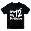 It's My 12th Birthday Boys Girls 100% Cotton T-shirt Mens Tees Top Birthday Years Old Gift Present