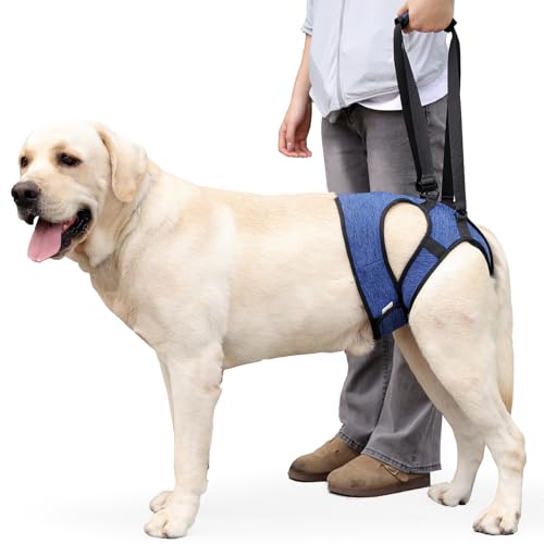 THKWOO Dog Care Harness, Anti-Slip Design, Walking Assist Harness, Breathable Support Sling, Adjustable, Hind Leg Support, for Senior Dogs, Post-Surge