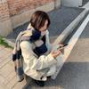 Winter Imitation Cashmere Scarf Korean Fashion Plaid Ladies Scarf Thick Warm Long Scarf Shawl
