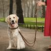 Double Handle Leather Dog Leash Genuine Cowhide Brass Hook Dog Rope  German Shepherd