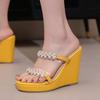 2025 New Summer Fashion Wedge Sandals Transparent 11cm High Heels Women Slippers Outside Sexy Slides sandalias de mujer WSH5048
