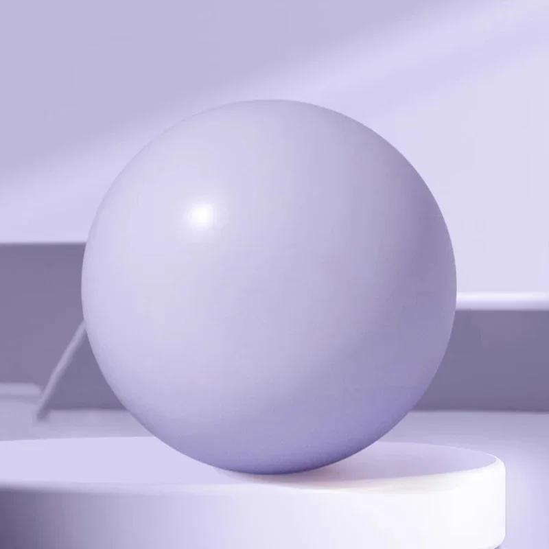 

25Cm Thickened Mini Exercise Ball For Pilates Yoga Anti Burst Design Leg Toning Hip Lift Home Workout Fitness фіолетовий
