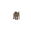 Schleich Wildlife African Elephant (Cub) Figure 14763