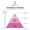 Dorall Collection Golden Blaze Eau De Toilette For Women 100ml