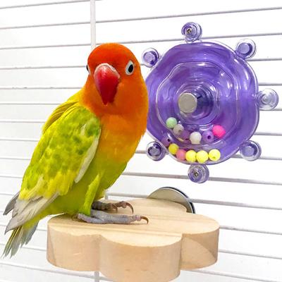 Papagei Spinner Spielzeug Interaktive Vögel Drehendes Rad Kauspielzeug Rotierender Leckerli-Spender Puzzle Käfigzubehör für Sittiche, Conures, Nymphensittiche