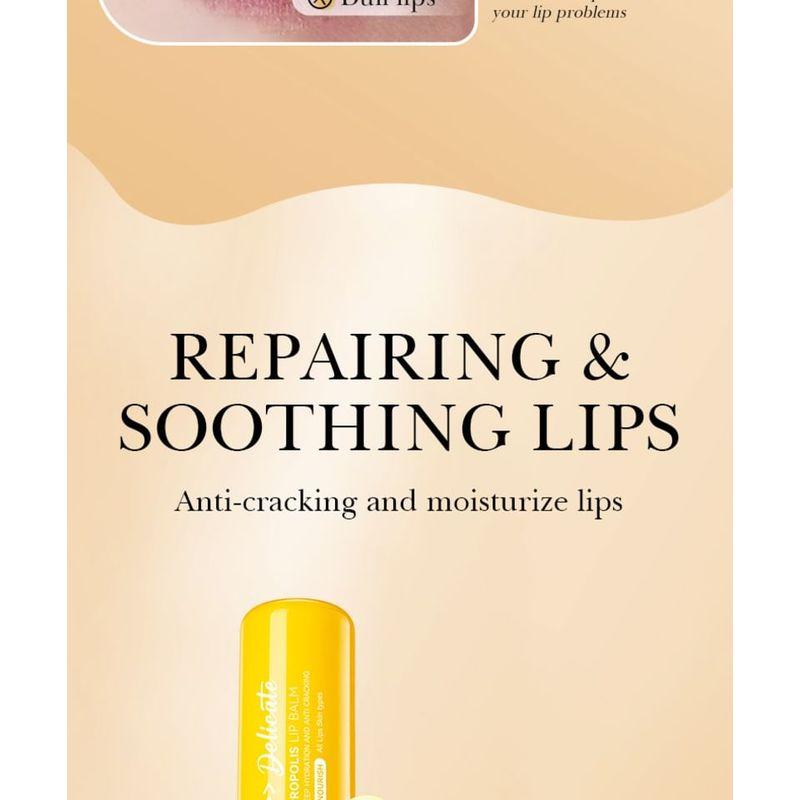 BIOAQUA - Anti Cracking Lip Balm - 4 Types