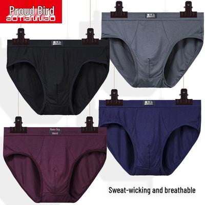 Men's Mid-Rise Modal Breathable Triangle Briefs - Comfortable Underpants for Teenagers