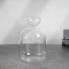 Kit pour Vase de Germination de Noyau d'Avocat Verre Transparent Plante à Croissance Amateurs de Jardinage Pour la Maison et l'Usage Professionnel