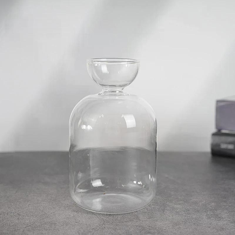 Kit pour Vase de Germination de Noyau d'Avocat Verre Transparent Plante à Croissance Amateurs de Jardinage Pour la Maison et l'Usage Professionnel