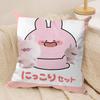 Cartoon Cute Asamimichaan Cushion Cover Silky Short Plush DoubleSided Printed Pillow Case for Sofa All Seasons Home Decor Gift