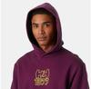 Helly Hansen Graphic худи