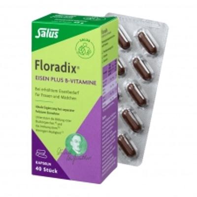Floradix Iron + Vitamin B 40 Capsules