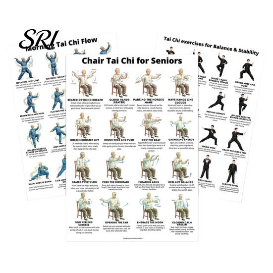 Gentle Chair Workout Routine 3Pcs Tai Chi Posters Seated Canvas Fitness Poster Illustrations Exercise Instructions for Beginners Seniors Senior