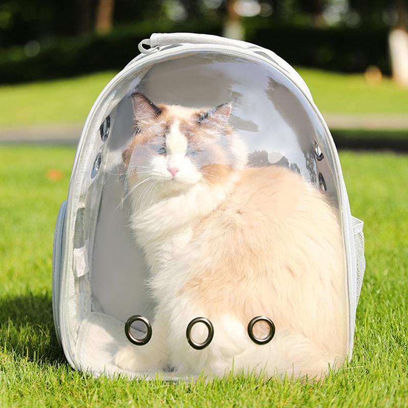 Cat Backpack Transparent Pet Cat Carrier Bag Airline Approved Designed for Travel Hiking Walking and Outdoor Use Pet Backpack