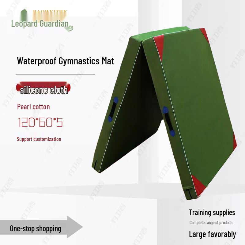 Bao Weizhe Foldable Gymnastics Mat