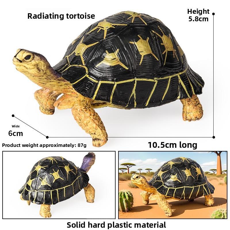 Crab Turtle Squid Salamander Hairtail Salmon Shark Marine Life Model Ornament