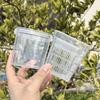 Self Watering Orchid Pots Double-Layer Mesh Pot Root Control Transparent Flowerpot Nursery Plants Pot With Holes Garden Supplies
