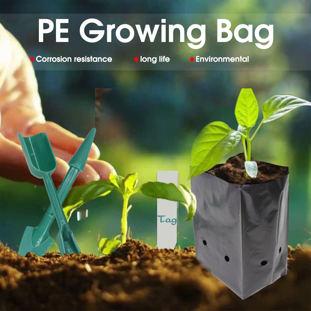 100/200PCS PE Nursery Bags Seeds Germinate Seedlings Pot with Breathable Hole for Gardening Vegetable Plants Planting Container