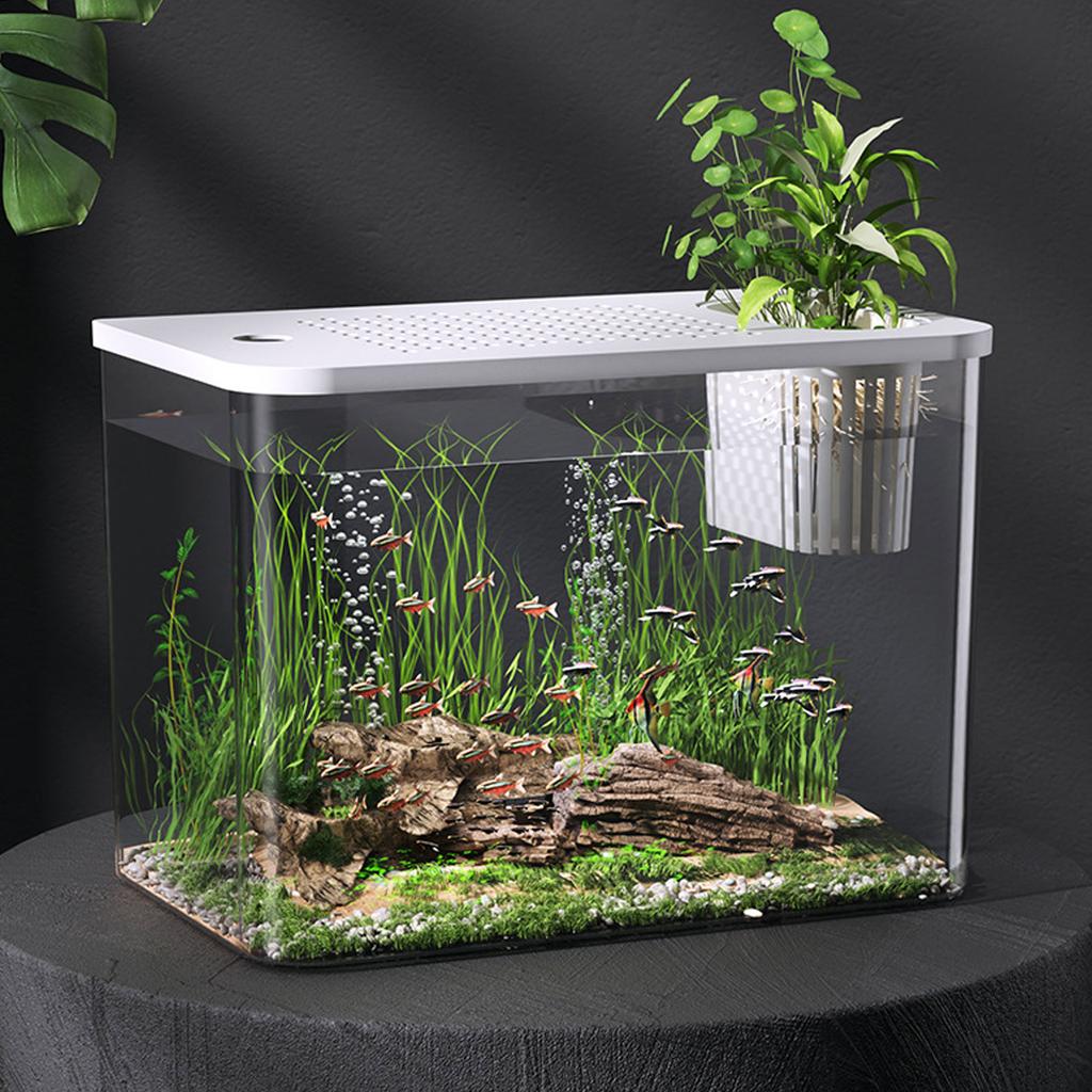 Small Fish   Plastic Clr   Landscape Desktop Aquarium for Goldfish Shrimp Betta Fish