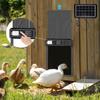 Timed Chicken Coop Automatic Induction Door Stainless Steel with Display Screen Anti-pinch Solar Chicken Coop Electric Door