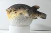 Figura de Vida Marinha Aotomo Modelo de Vinil Peixe-Balão Tigre Marrom FK Vinil Macio Criatura Marinha Marinha