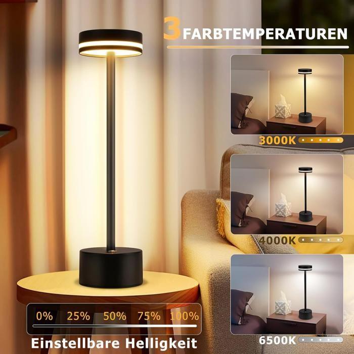 Lampe de table LED - NETTLIFE - Modèle tactile - Sans fil (piles) - Intensité 3000-6500K - Port USB-C