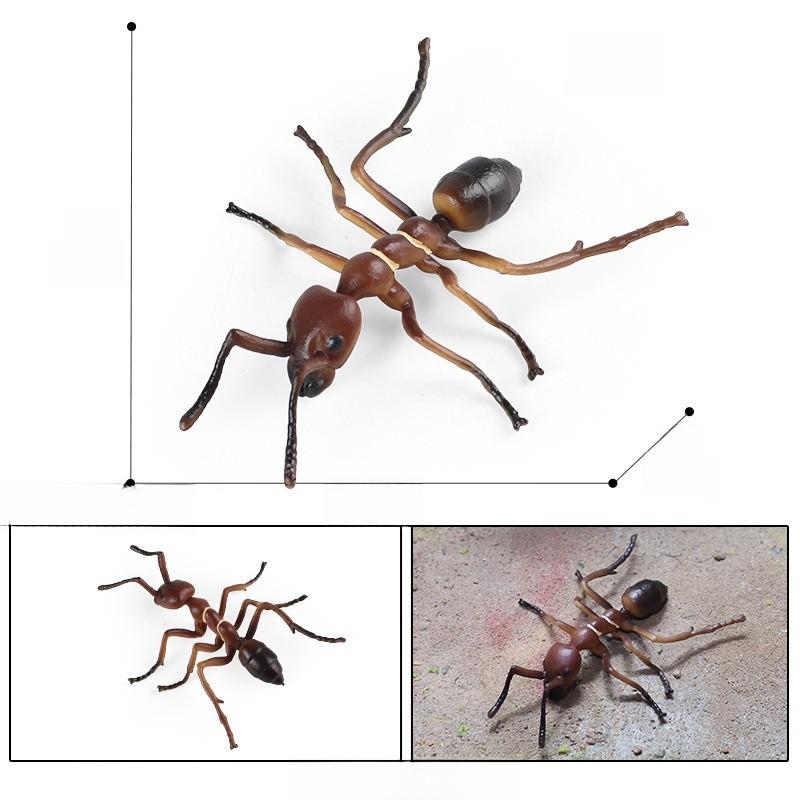 Educational Animal Insect Model Pack Plastic Figures Kid Learning Schooling Home