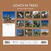 Red Robin 2026 Goats in Trees Monthly Wall Calendar | 12" x 24" Open | Premium Thick & Sturdy Paper | Hangable 12 Month Calendar | Lined Notes & To