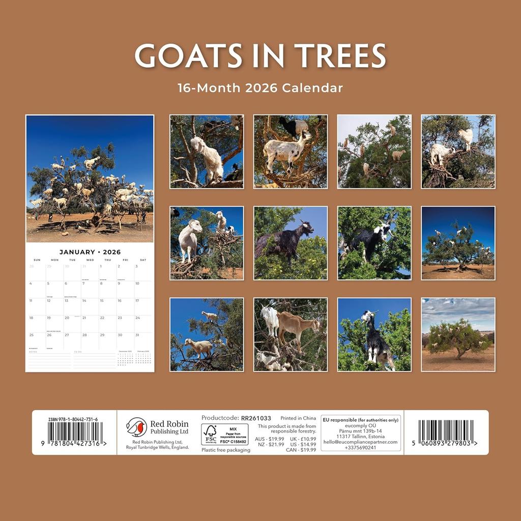 Red Robin 2026 Goats in Trees Monthly Wall Calendar | 12" x 24" Open | Premium Thick & Sturdy Paper | Hangable 12 Month Calendar | Lined Notes & To
