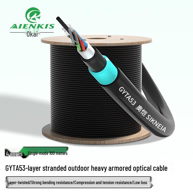 AIENKIS Outdoor Armored GYTA53 Single-Mode Fiber Optic Cable 100m