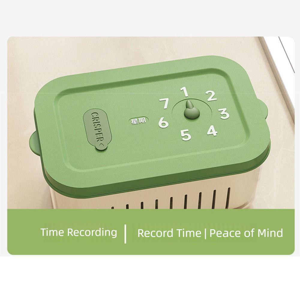 Record Time Vegetable Fruit Crisper Case Fresh-keeping Vegetable Washing Basin  Fridge