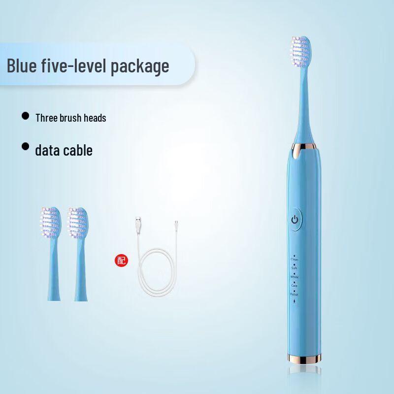 DSK EC810 Adult Smart Sonic Electric Toothbrush