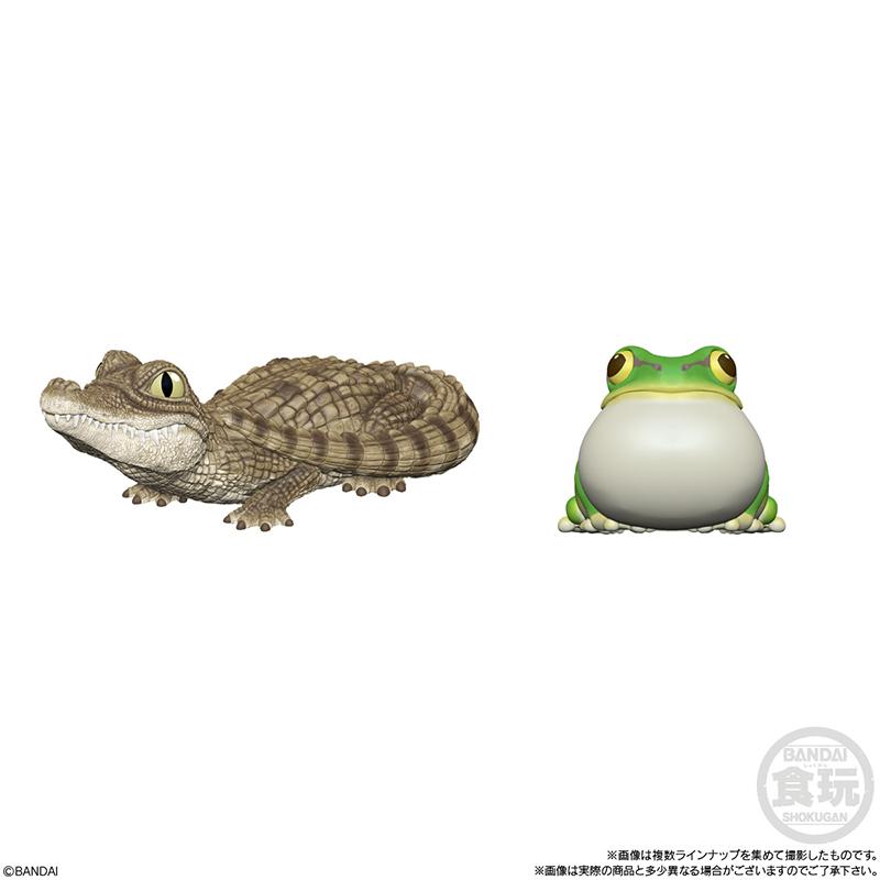 Genuine CANDY TOY Figure Small Scale Model Handheld Little Cute Friend Cynops Eublepharis Macularius Action Figure Model Toys