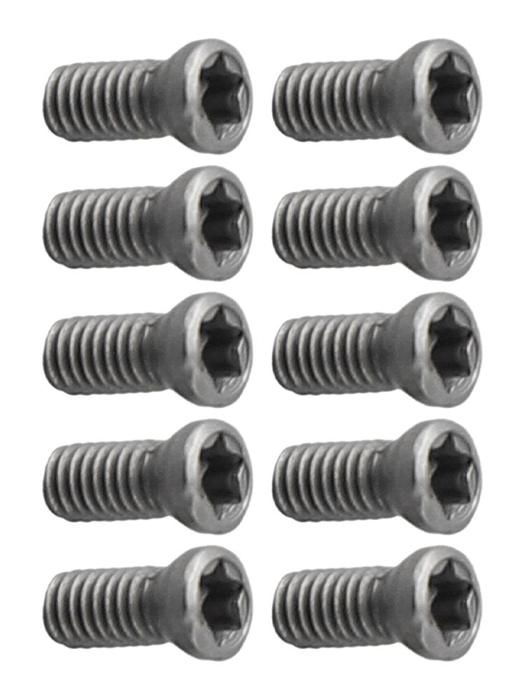 Screw Bolt Torx Screws 10pcs Insert Torx Screw Steel