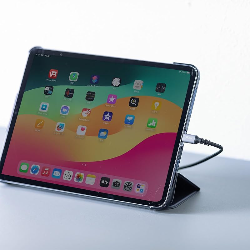 Sanwa Supply USB 2.0 Type-C cable (C-C/straight/60W/0.5m) KU-CCP6005TK