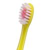 Colgate Kids Toothbrush (2-5 Years, Soft Bristles, 2-Pack)