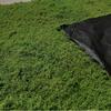 Artificial Woolly Moss Lawn for Bonsai and Landscape Arrangements