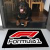 F-F1S F-Formula 1 LOGO Floor Mat Anti-slip Absorb Water Long Strip Cushion Bedroon Mat Alfombra