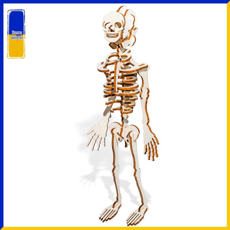 DIY 3D Human Skeleton Model Kit - Handmade Wood Craft for Science Experiment