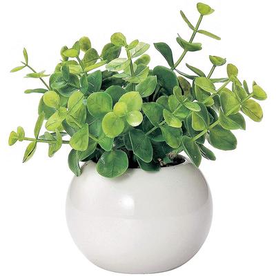 Miniature Interior Greenery, Artificial Plant, Cute, Round, Photocatalytic Green, Eucalyptus