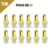 El Nabil Musc Gold Parfum Concentré Sans Alcool 12*5ml