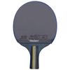 Double Fish K319A Table Tennis Racket Set