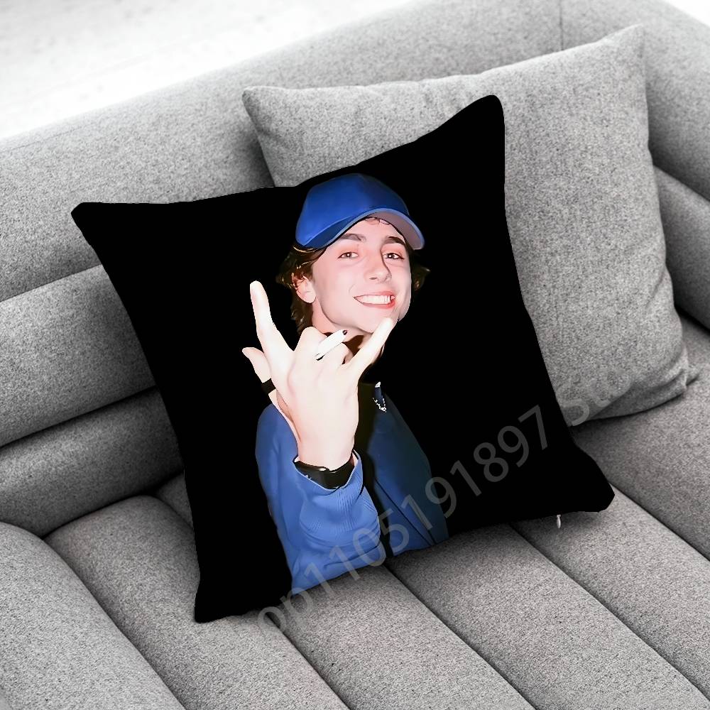 T-Timothée Chalamet Kissenbezug für 50cm 30cm 55cm 45cm 40cm quadratische Bettkissenbezug Hülle