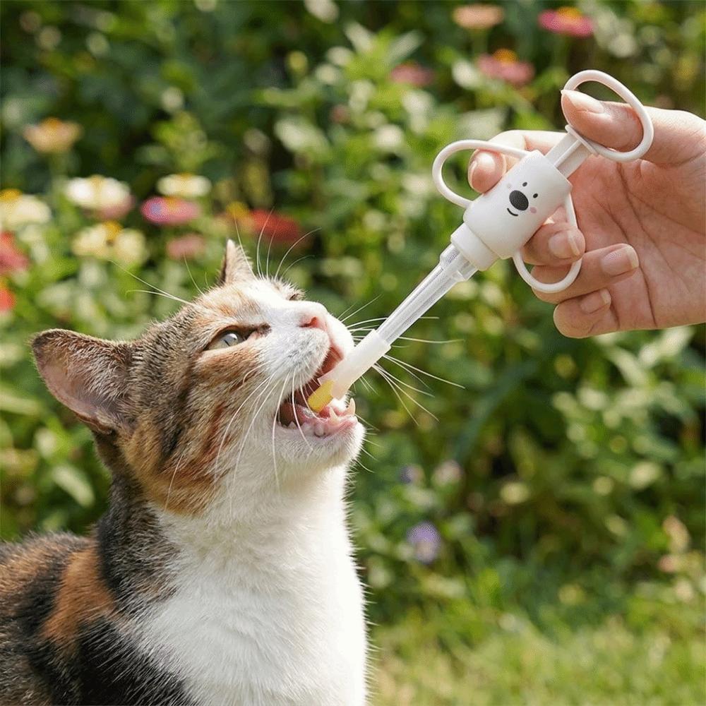 Distributeur de nourriture pour chaton détachable Anti-étouffement Dispositif d'alimentation pour chat Distributeur d'eau pour chaton Pour chaton chiot