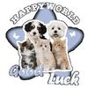 Oversized T Shirt Black Happy World Good Luck Cute Dogs And Cats Print Casual Everyday Wear