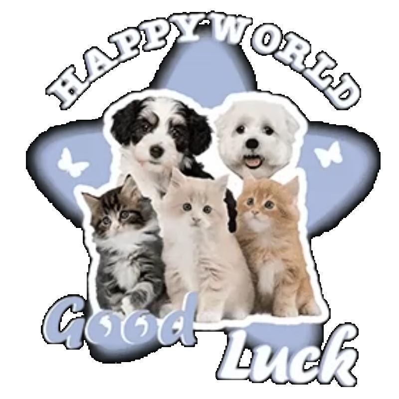 Oversized T Shirt Black Happy World Good Luck Cute Dogs And Cats Print Casual Everyday Wear