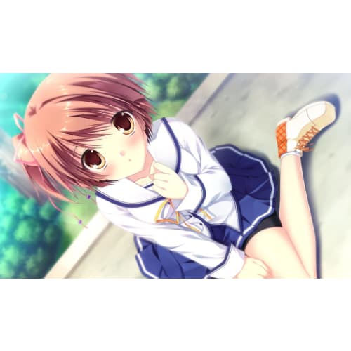 d.c.iii p.s. ~da capo iii plus story~ -switch